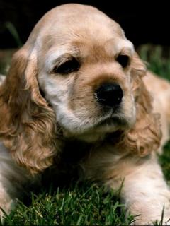 Other Wallpapers 0842